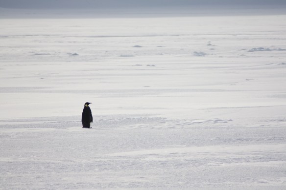 Solitude and simplicity are actually kind of nice.