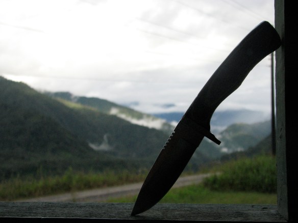 Mangayacu cabin view