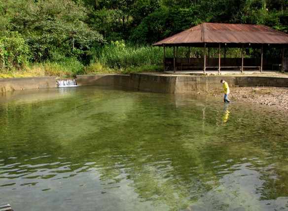 Mangayacu pool
