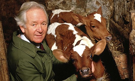 James Herriot on his farm, Yorkshire, Britain - 1995