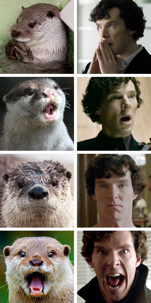Benedict Otterbatch