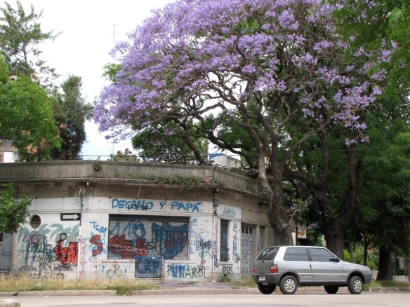 Rain washed away the grime of this dirty street and made it a corner of Eden.