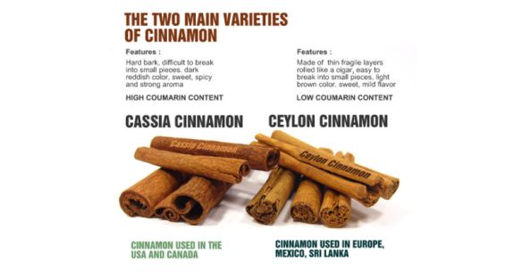 Cassia vs. Ceylon cinnamon sticks