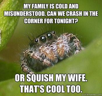 Misunderstood spider is misunderstood