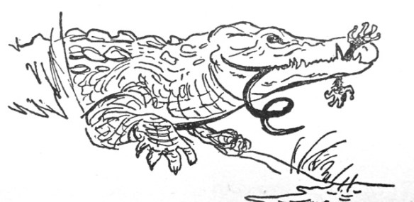 Monkey Vs. Alligator, Part 2