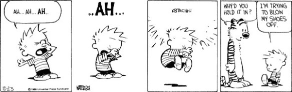 Calvin sneezing again