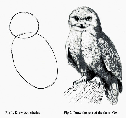 How to draw an owl